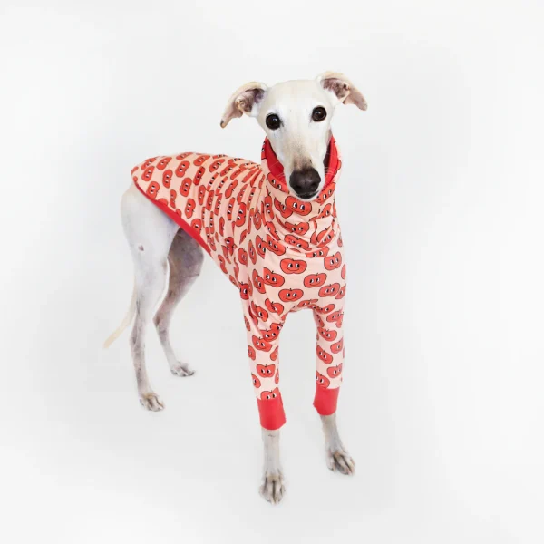 Ropa para galgos Onda Dogs, hechos a mano en Barcelona, abrigados, cómodos, divertidos